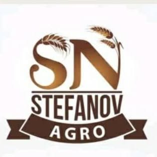 PG Stefanov logo